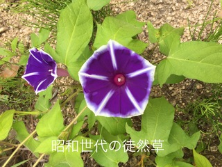 1B817E56-9018-4CFC-9074-2A36D2405A83.jpeg