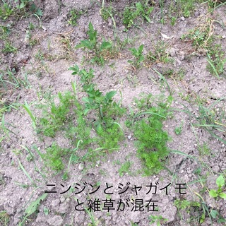 1D01BED2-2279-462B-9B12-0ED552FD67DE.jpeg