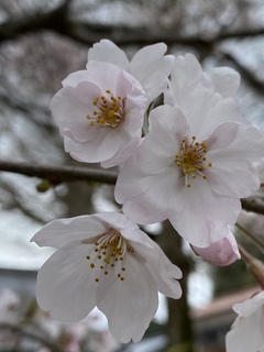 20974900-3D2E-49E7-9BBC-8C11C4CC03A4.jpeg