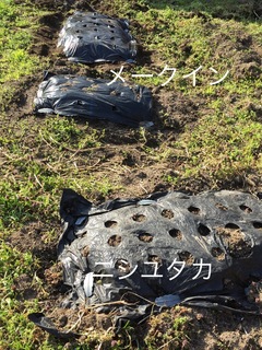 3698AC98-6D0D-4B3D-BEC9-8A58E712D255.jpeg