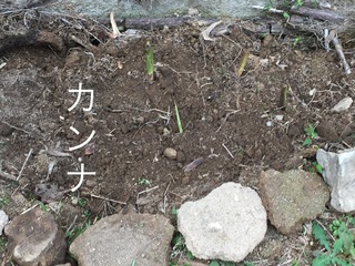 492BF4C0-06DF-4FC6-92E9-5FCDE7DF4569.jpeg