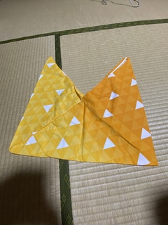 5469CAC6-F8C9-4B0D-ACCA-198C37E7E57A.jpeg