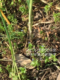 56F2AD78-6299-4D9C-A802-9DFD11DCF7F2.jpeg