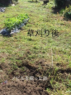 5FAC6635-B9E1-4C75-AAE2-4DDC730C5A9F.jpeg