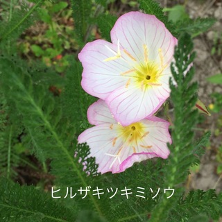 6EAFDAD8-6D09-40CD-87B9-3527A463AD86.jpeg