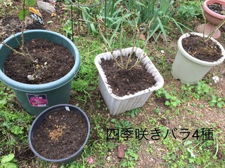 B082357E-7DEC-4932-AB7B-49561C3E3009.jpeg