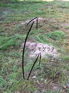 B6D12C03-7596-436F-8DEA-8841CC576094.jpeg