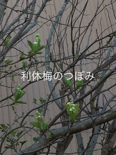 D2B8092F-5736-43C0-87D6-6AA324332C08.jpeg