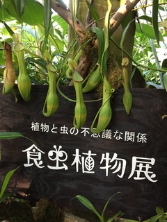 DD91F2D1-7766-4BA0-B5A1-43B255888874.jpeg