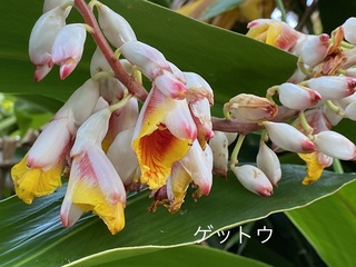 IMG_4633.JPEG