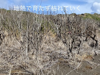 IMG_4684.JPEG