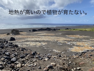 IMG_4685.JPEG
